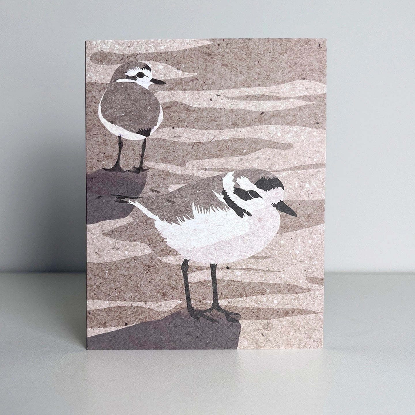 Snowy Plover Blank Greeting Card