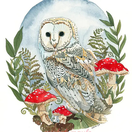 Barn Owl Print