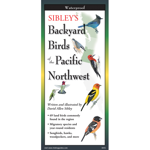 Sibley's Backyard Birds of the Pacific Northwest