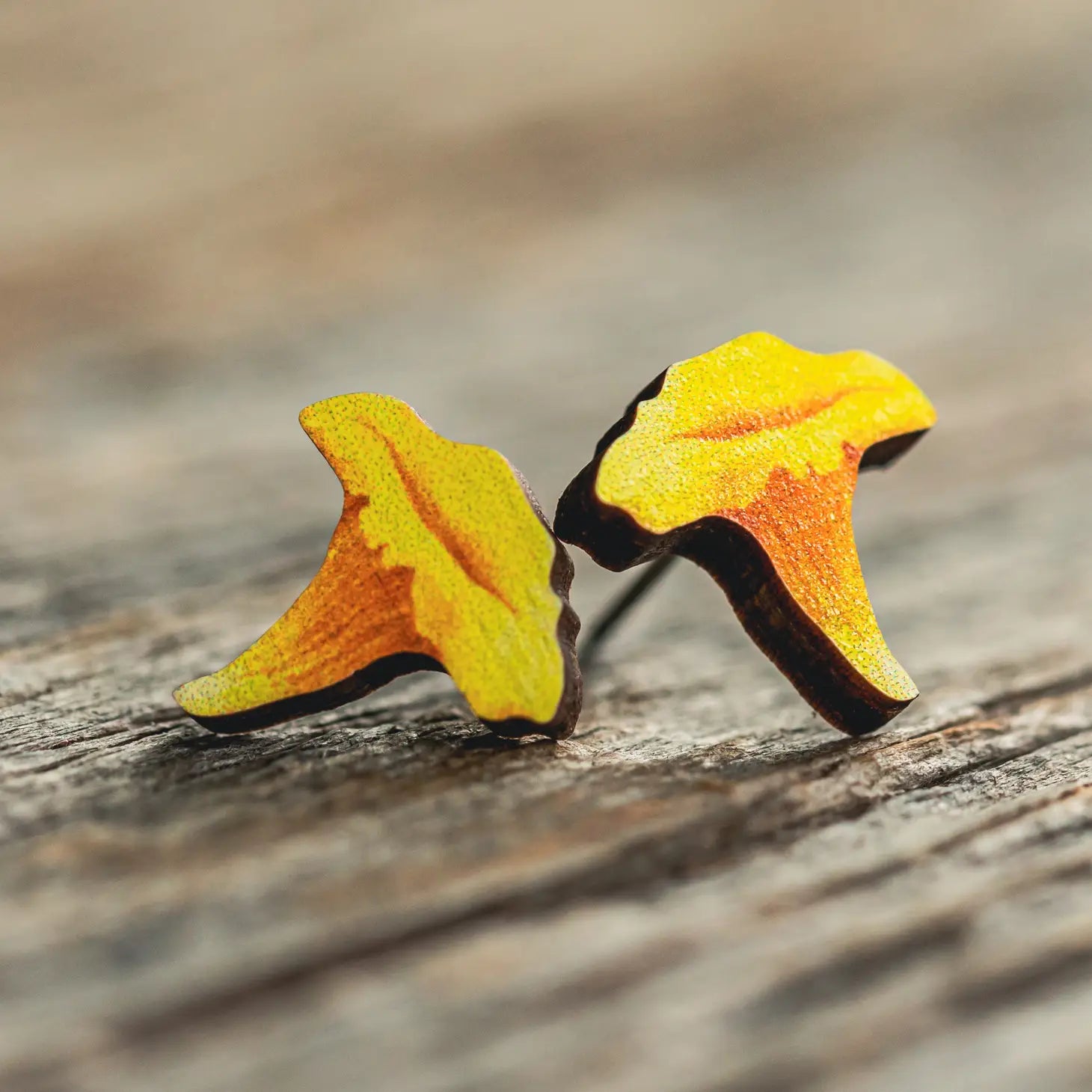 Chanterelle Stud Earrings by Plant Prosse