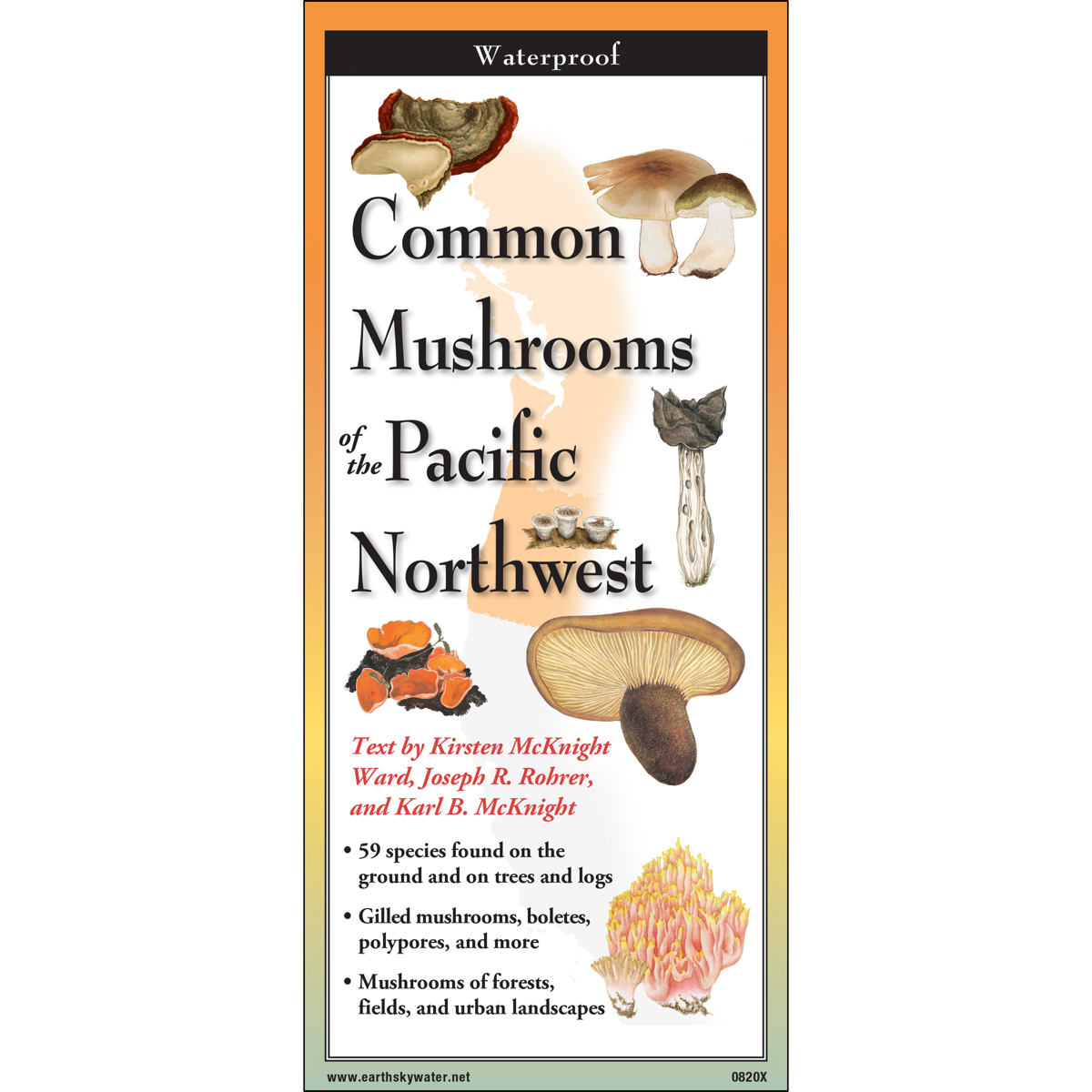 Sibley's Common Mushrooms of the Pacific Northwest