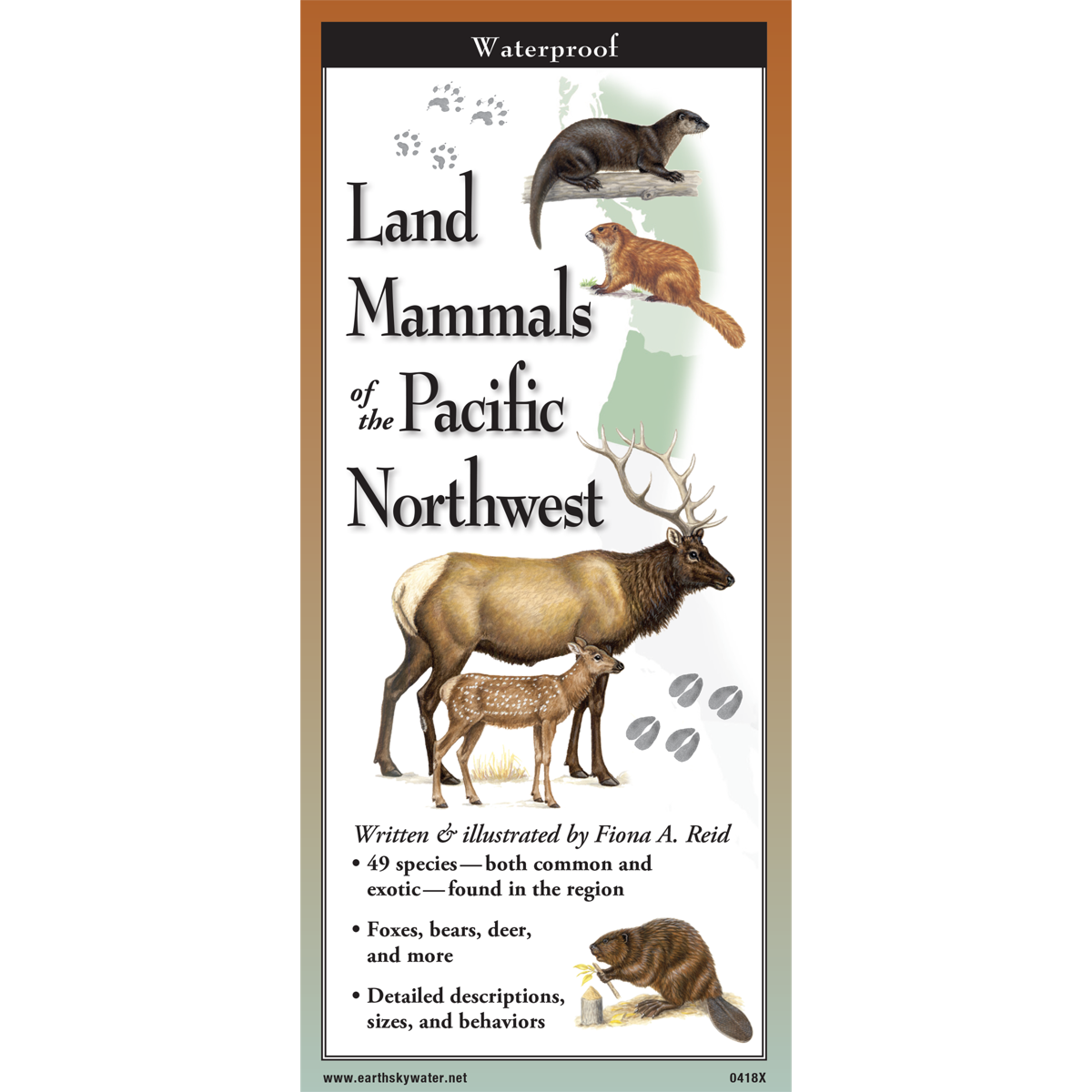 Sibley's Land Mammals of the Pacific Northwest