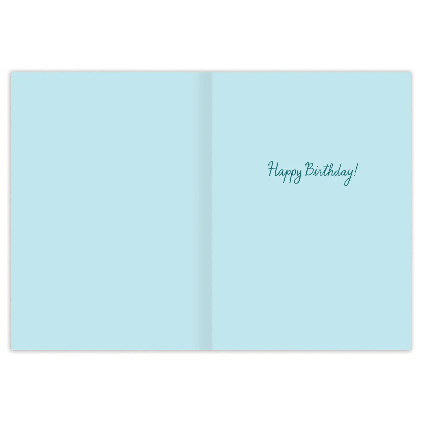 Let the Good Times Roll Birthday Card