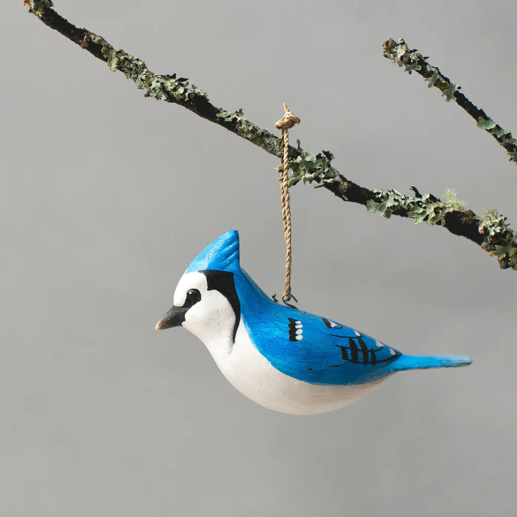 Hanging Blue Jay