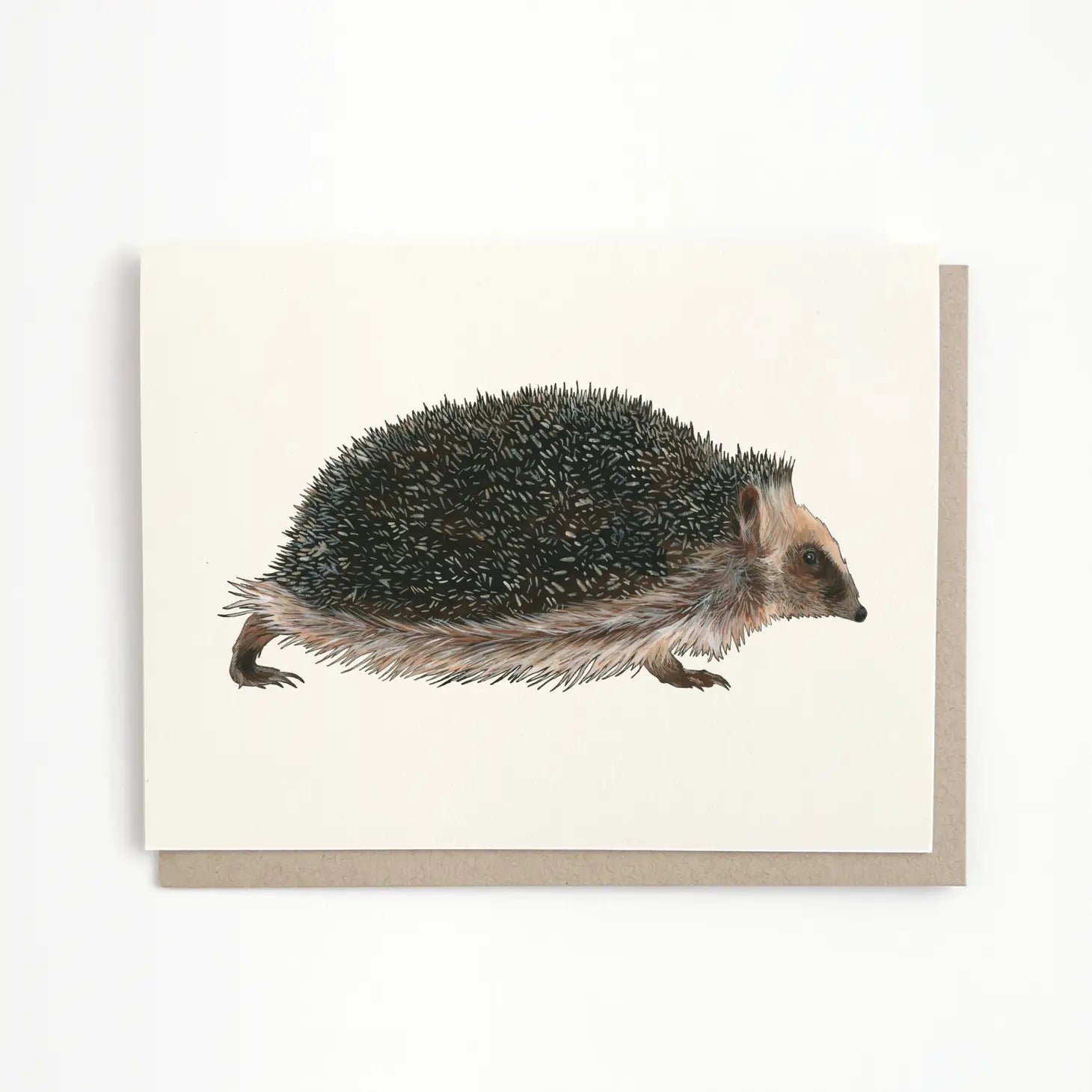 Hedgehog Greeting Card