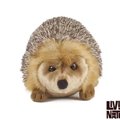 Hedgehog Plushie