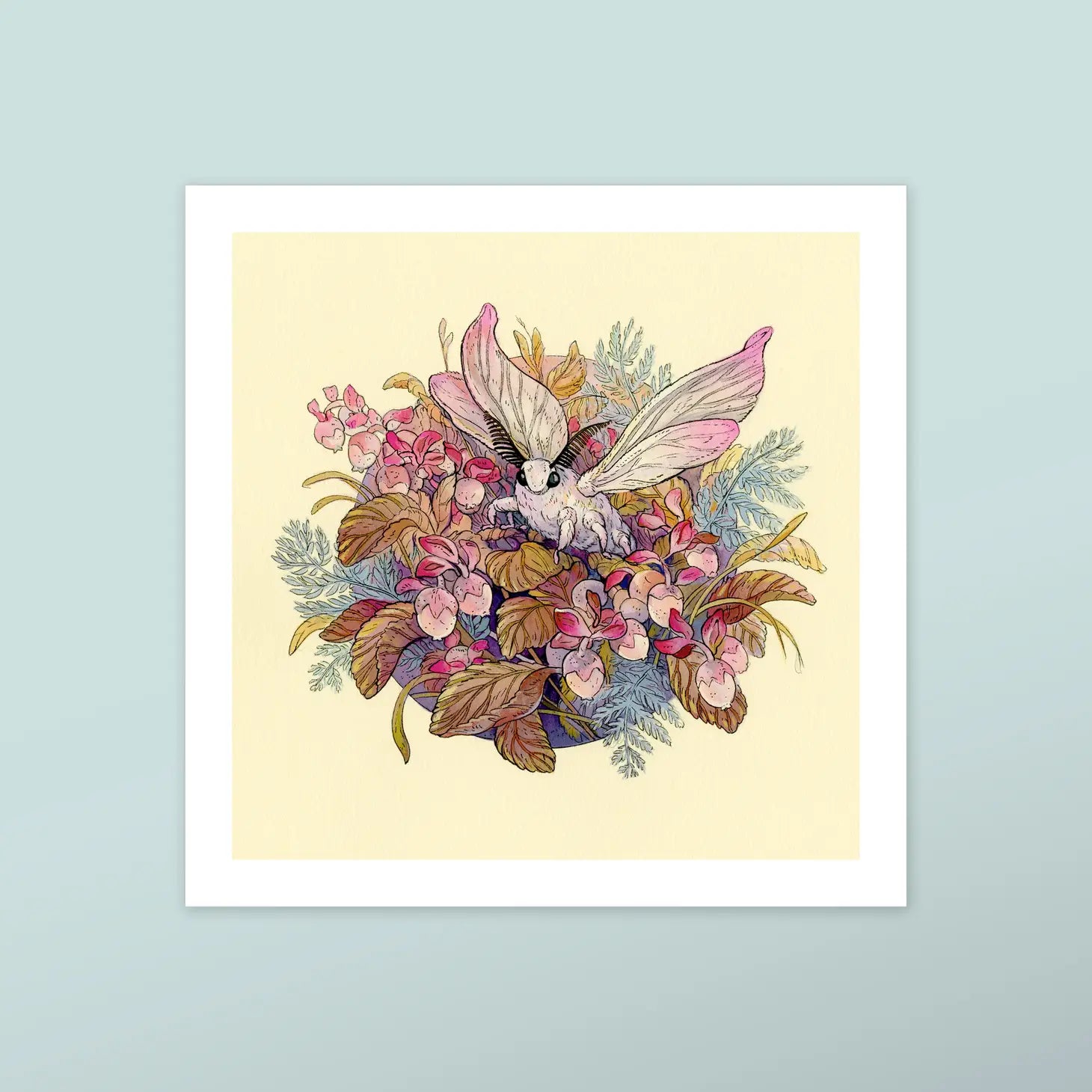 Moth - Fine Art Print