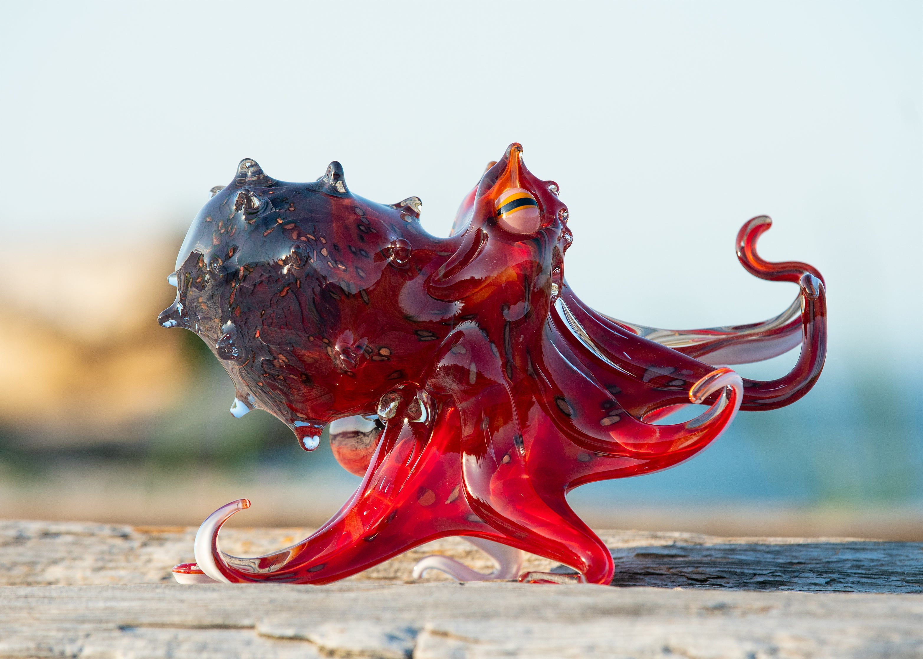 Pacific Coast Glass Octopus 10"