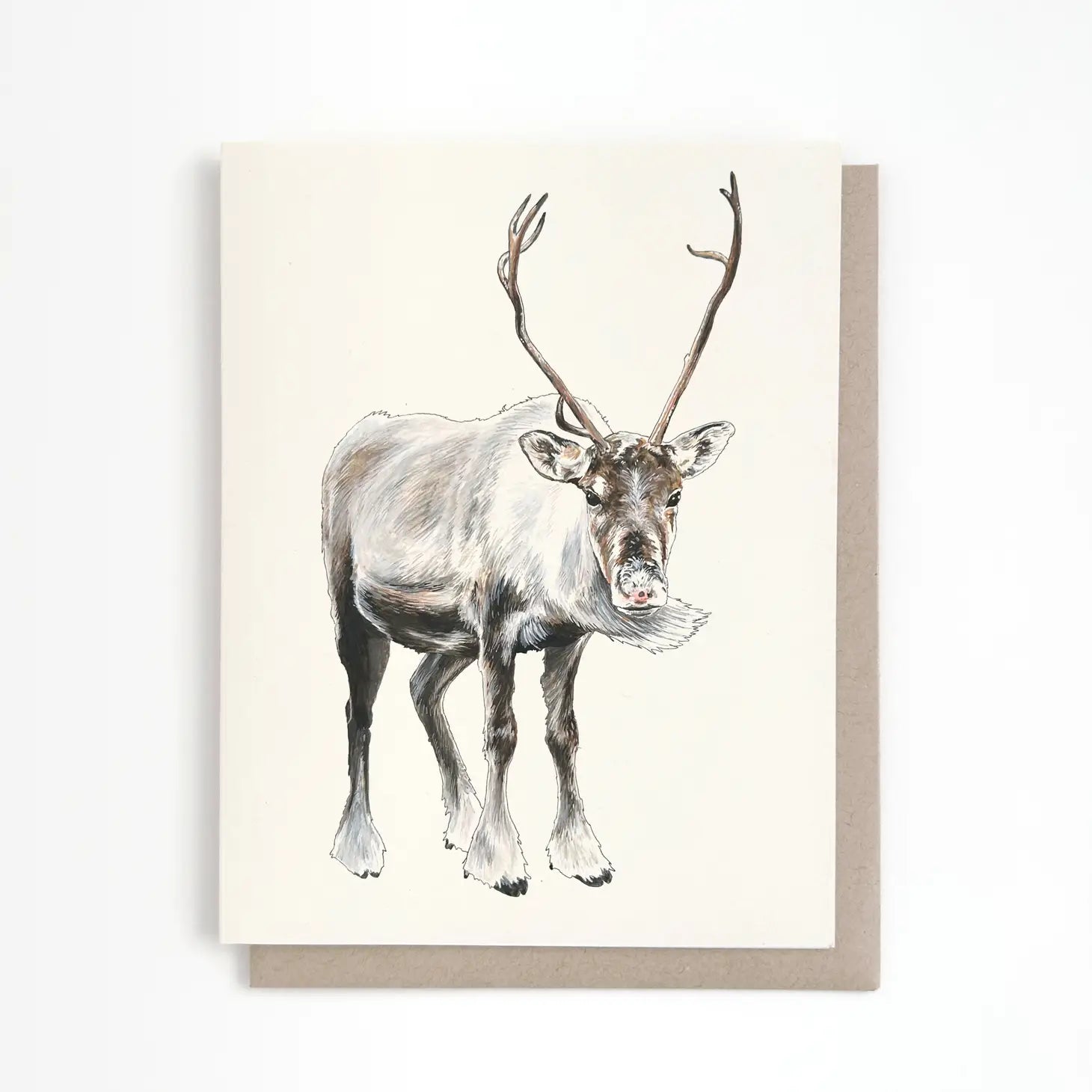 Reindeer Greeting Card