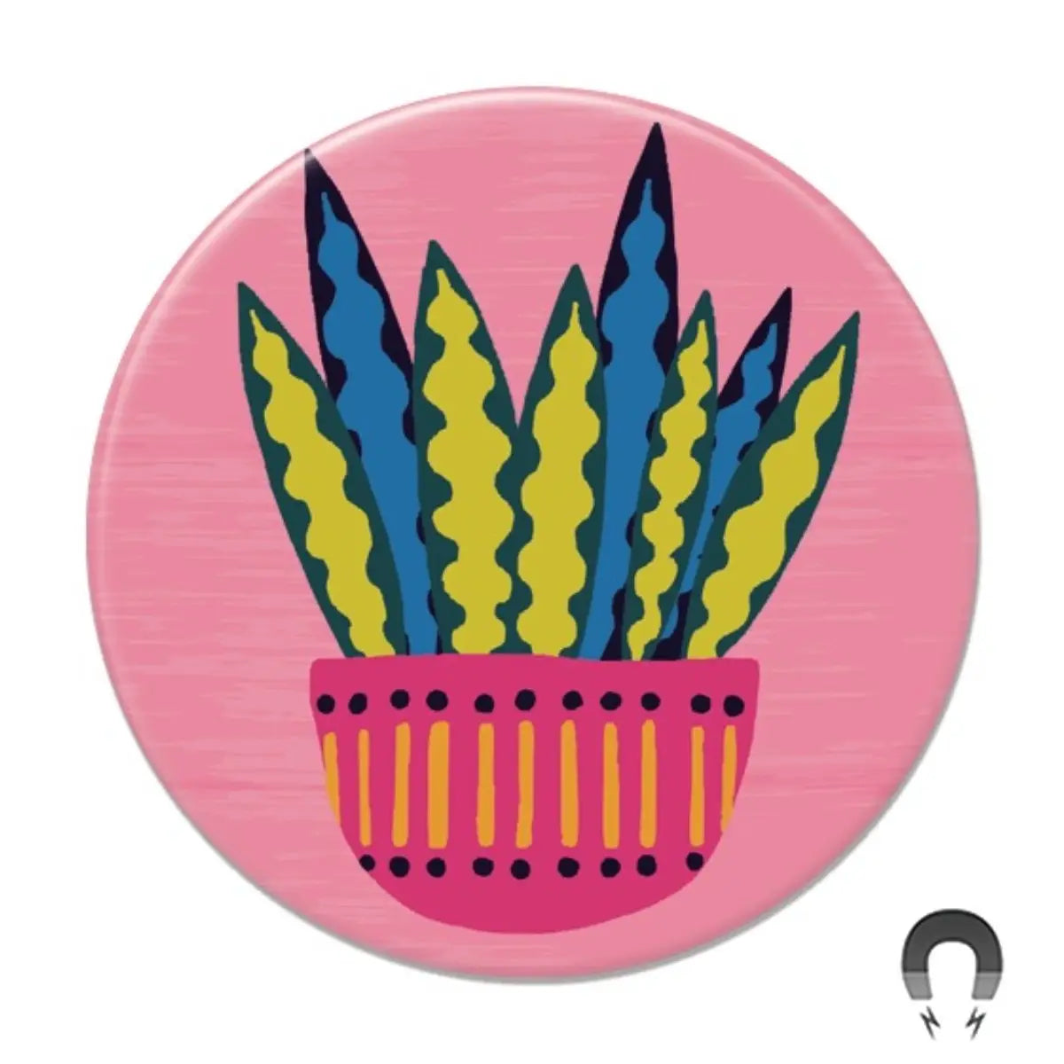 Snake Plant Pink Magnet