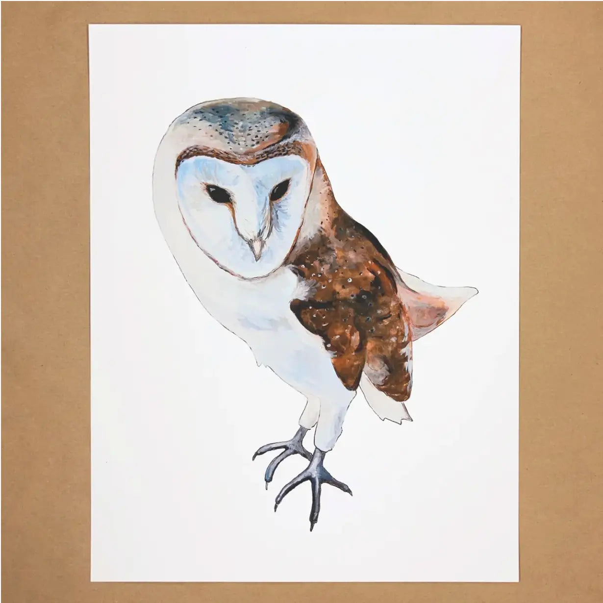 Barn Owl Print