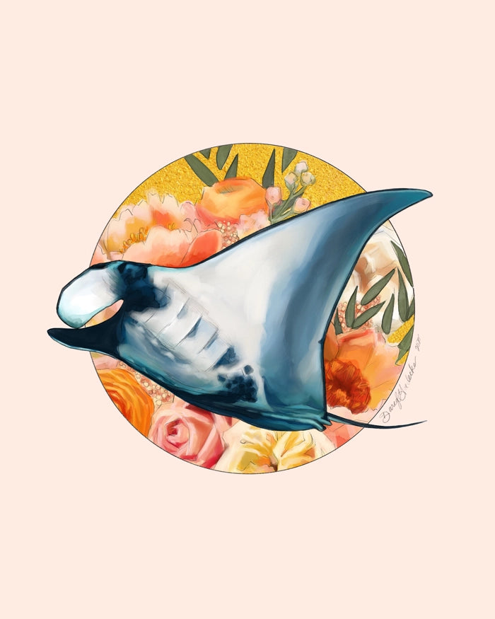 Manta Ray | Art Prints