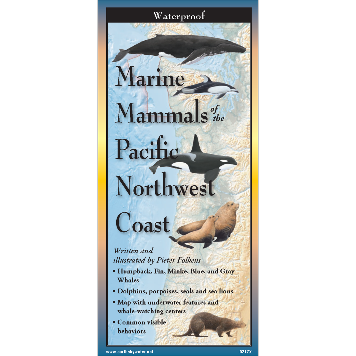 Sibley's Marine Mammals of the Pacific Northwest