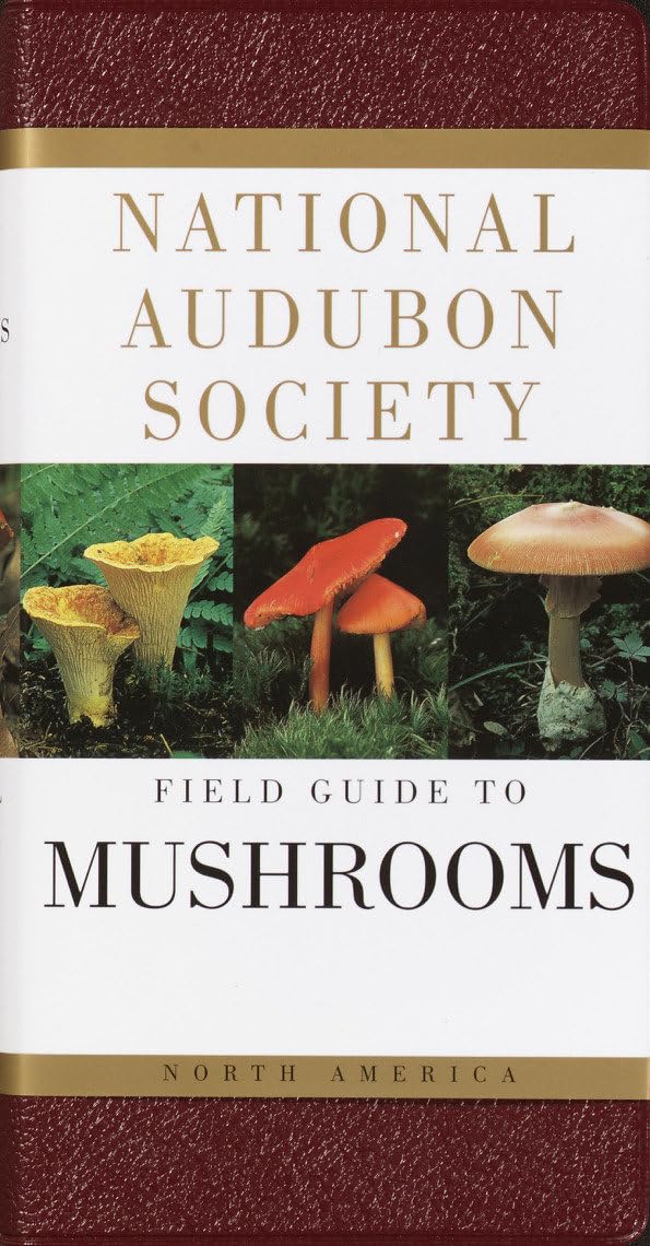 National Audubon Society | Field Guide to Mushrooms