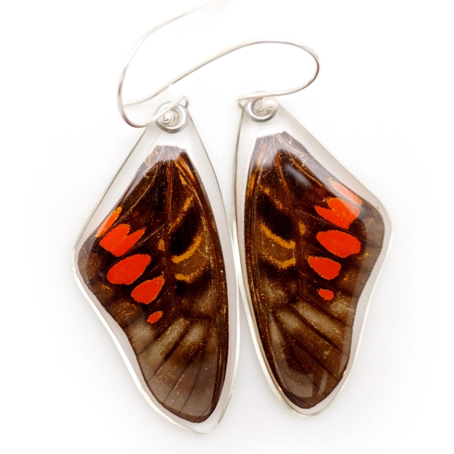 Red Spotted Graphium Rydleyanus Butterfly Earrings