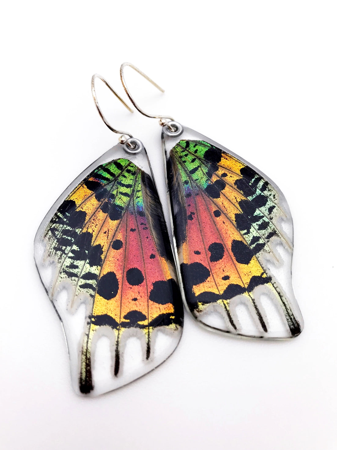 Sunset Moth Earrings, Bottom Wing