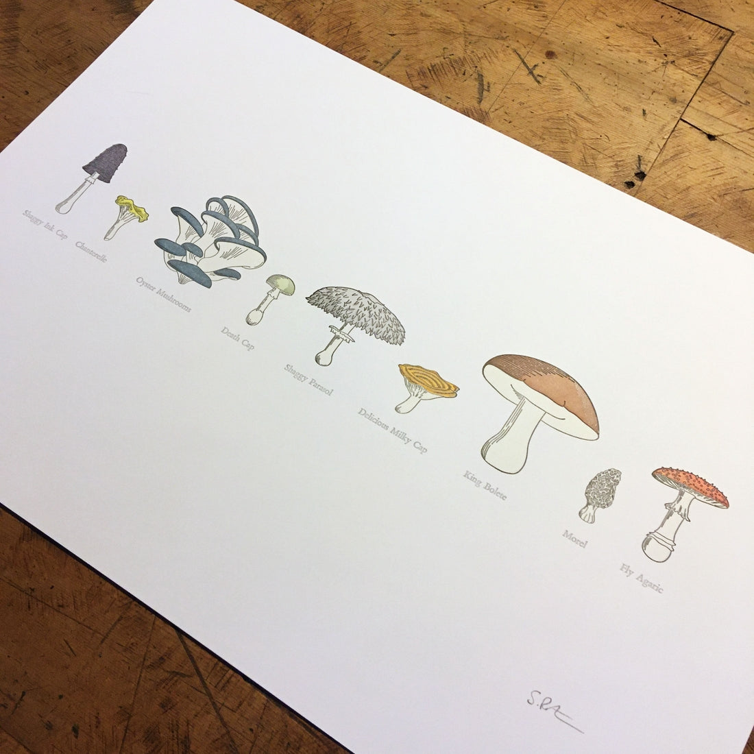 12" x 18" A Few Mushrooms Letterpress Print