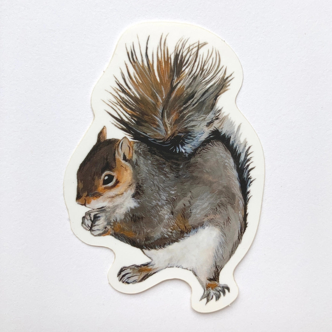 Squirrel Sticker