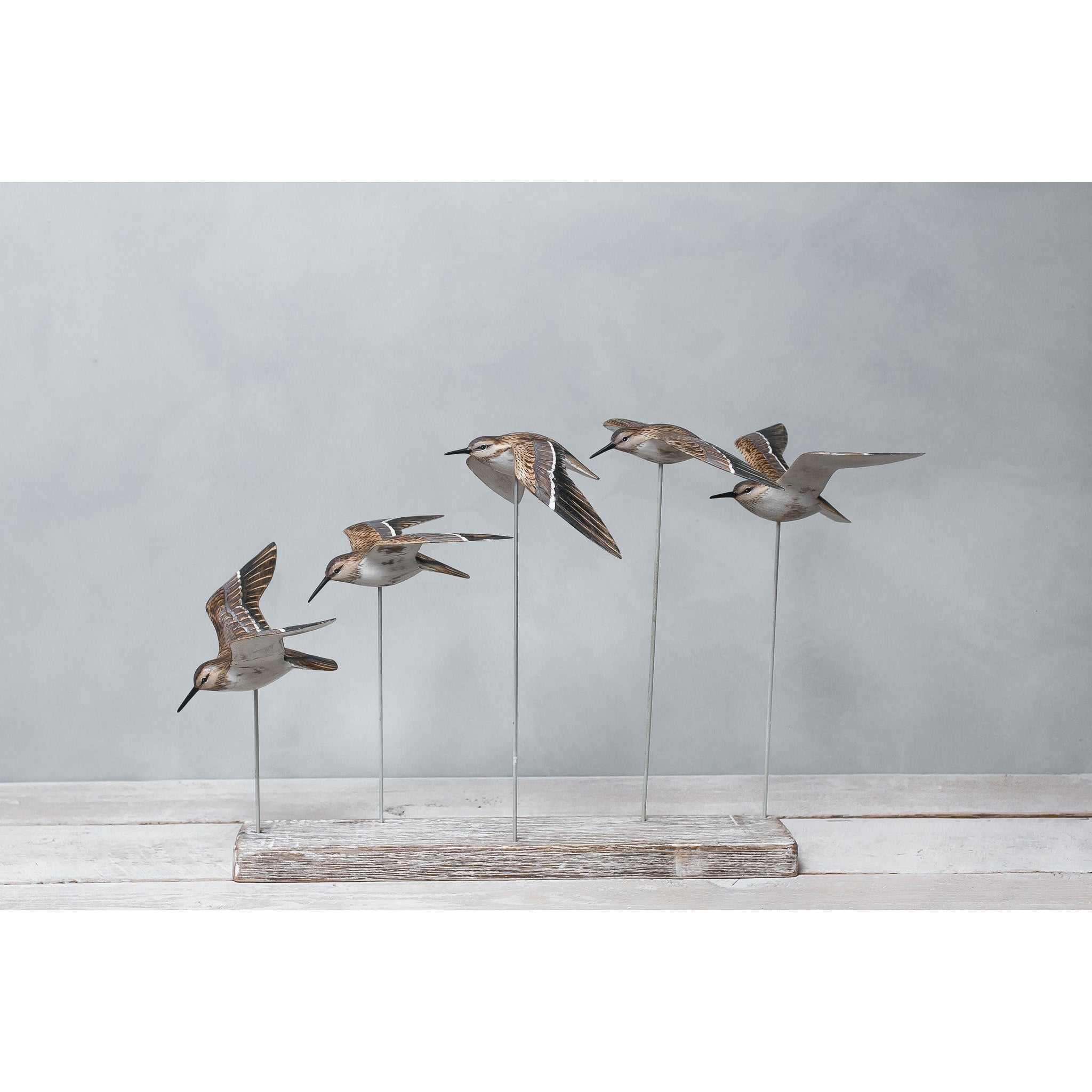 Sanderlings in Flight (Set of 5)