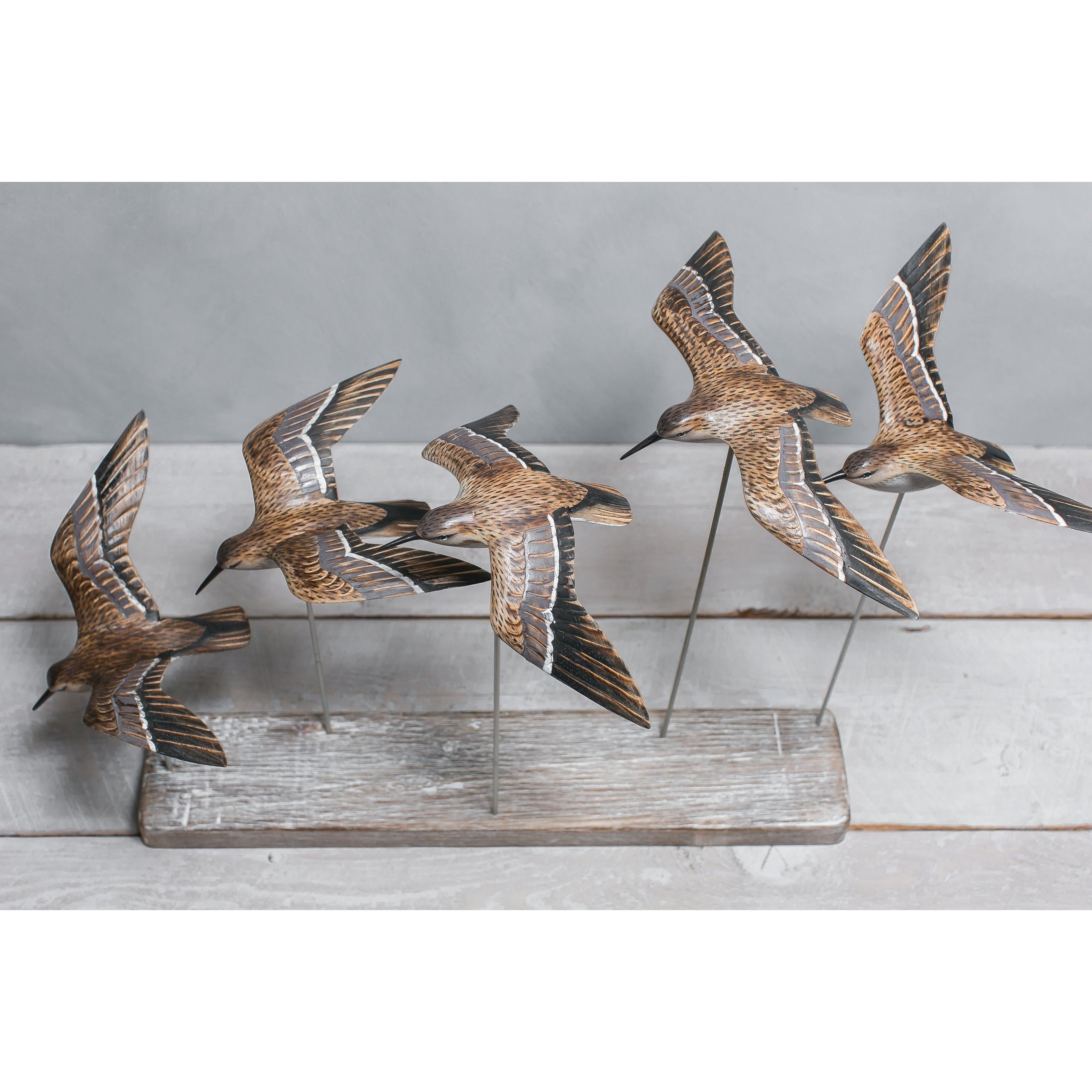 Sanderlings in Flight (Set of 5)