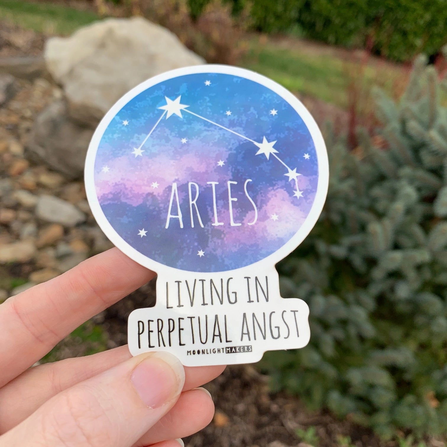 Funny Zodiac Astrology Stickers