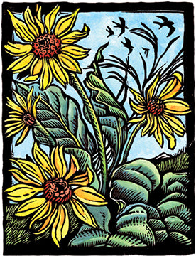 Arrowleaf Balsamroot: Rites of Spring Card