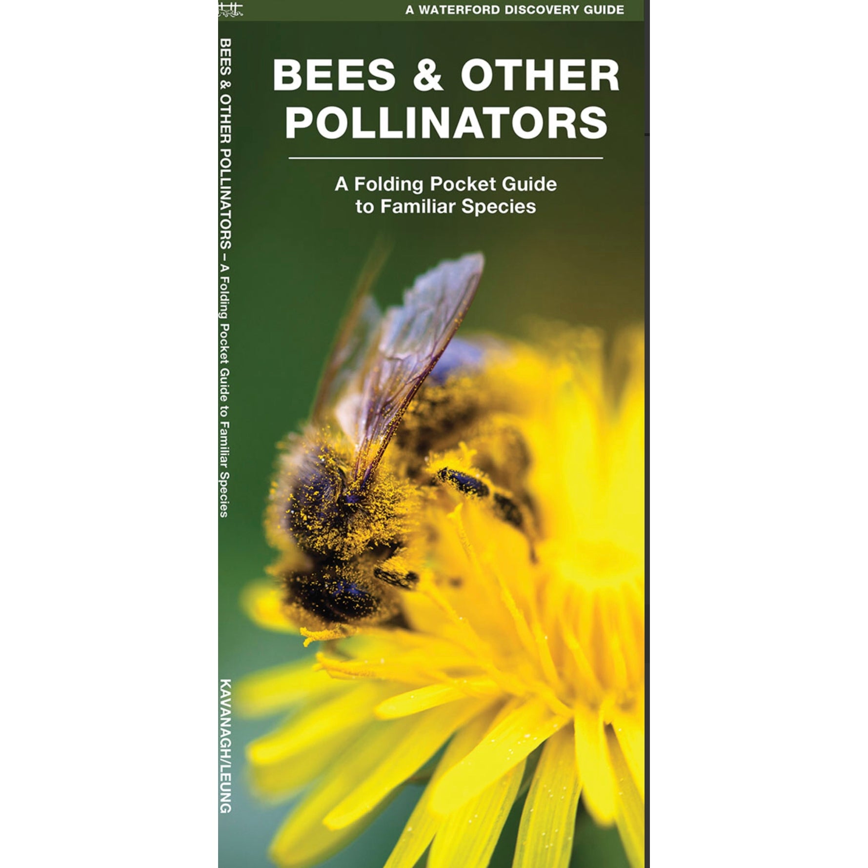 Bees & Other Pollinators