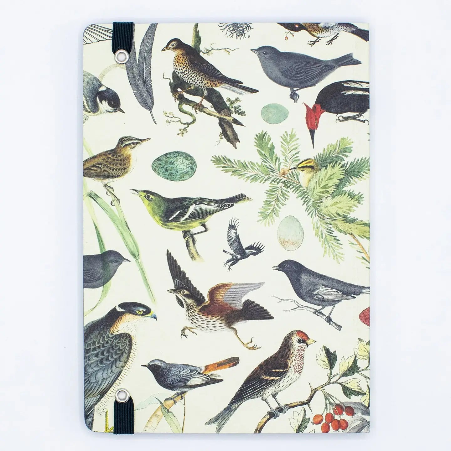 Birds & Feathers A5 Softcover