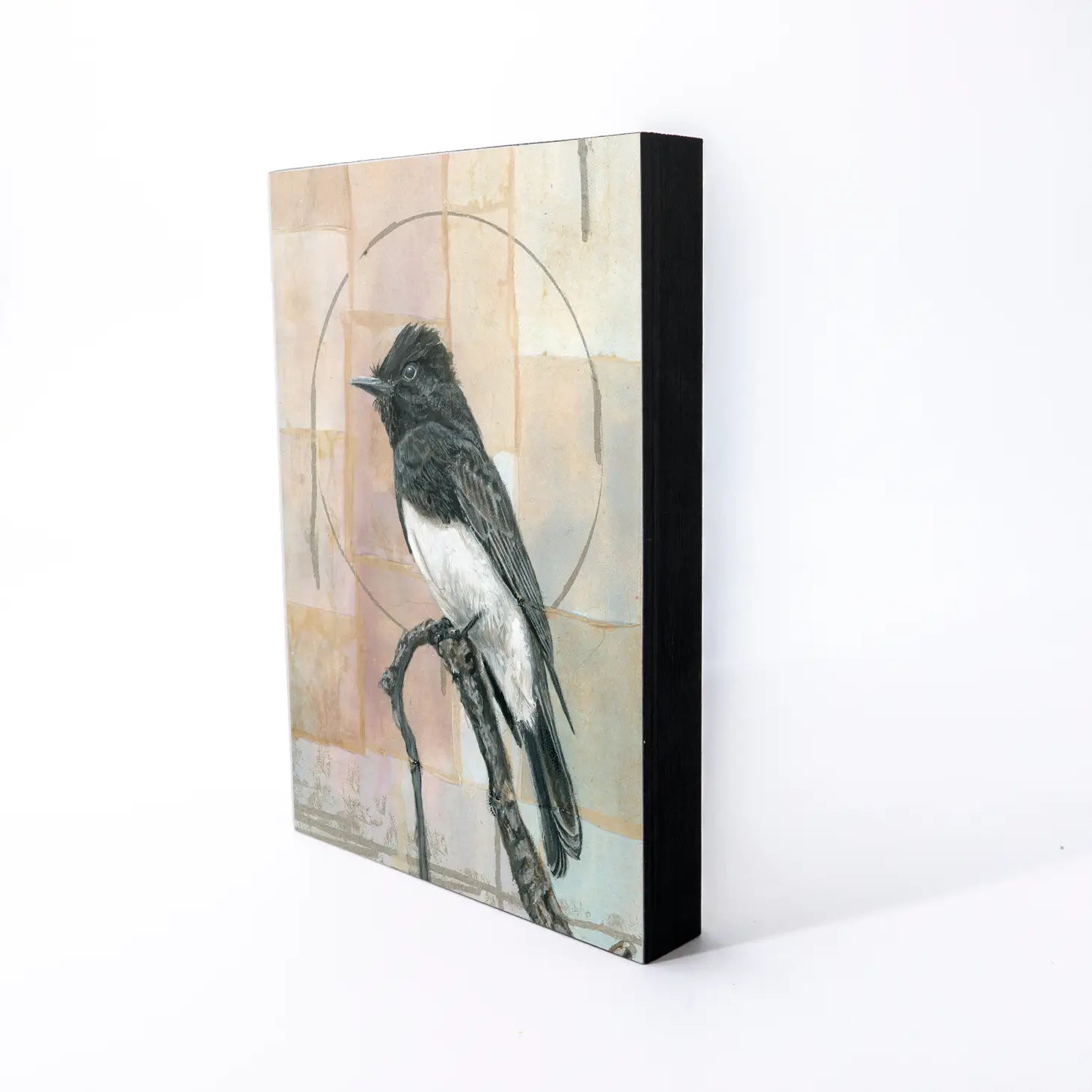 Black Phoebe Wood Panel Giclée Print