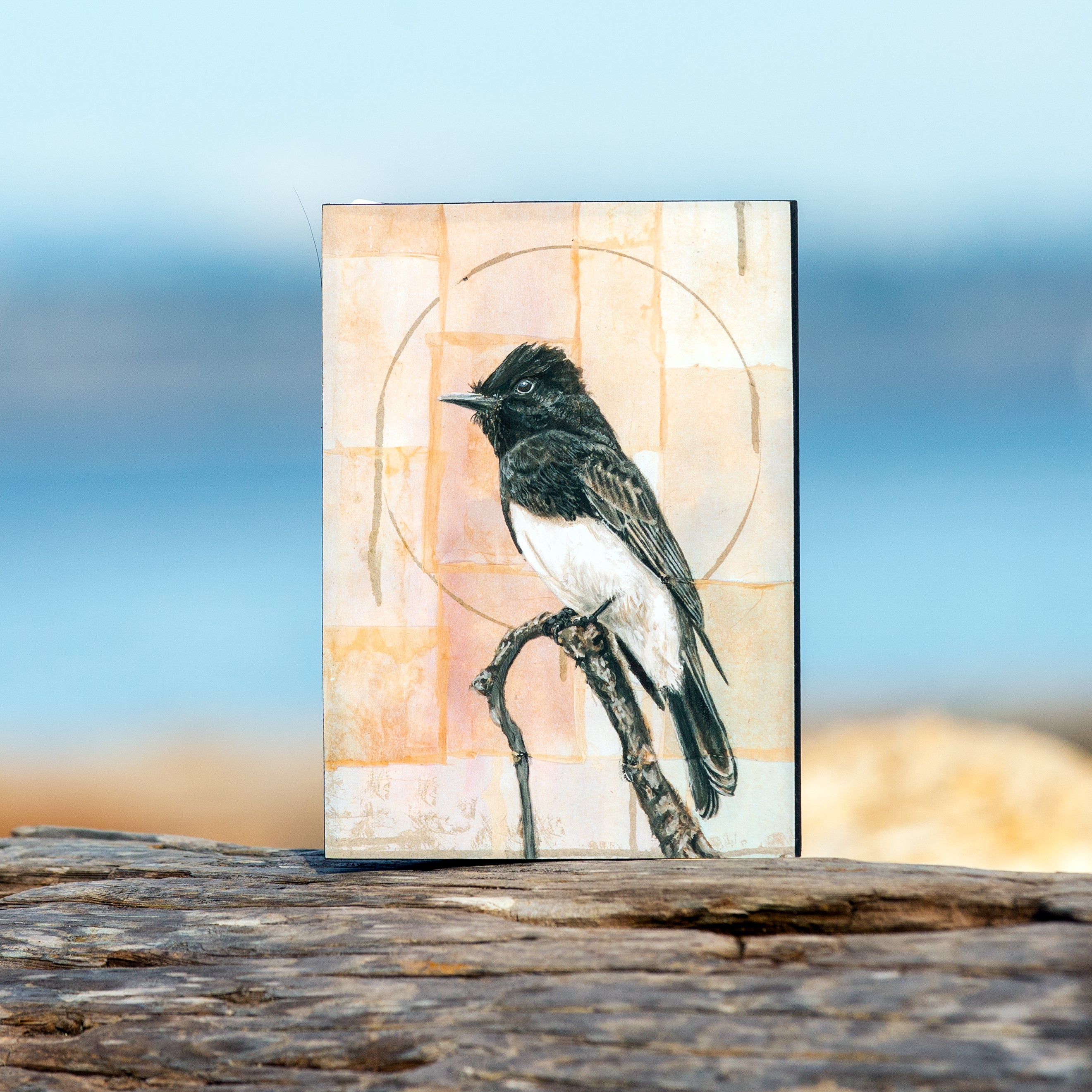 Black Phoebe Wood Panel Giclée Print