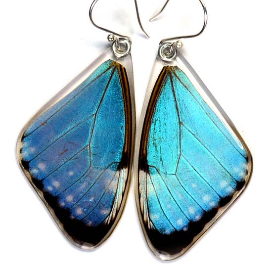 Blue Morpho Portis Butterfly Earrings