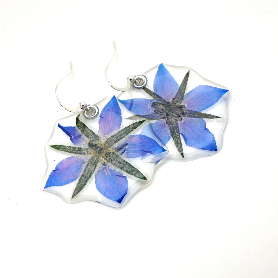 Borage Flower Earrings