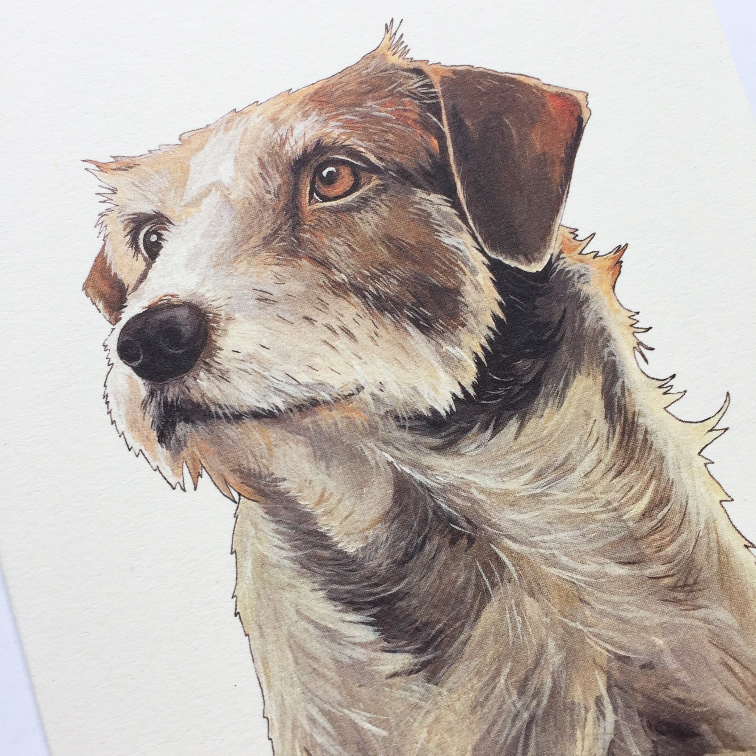 Brown and White Dog Card