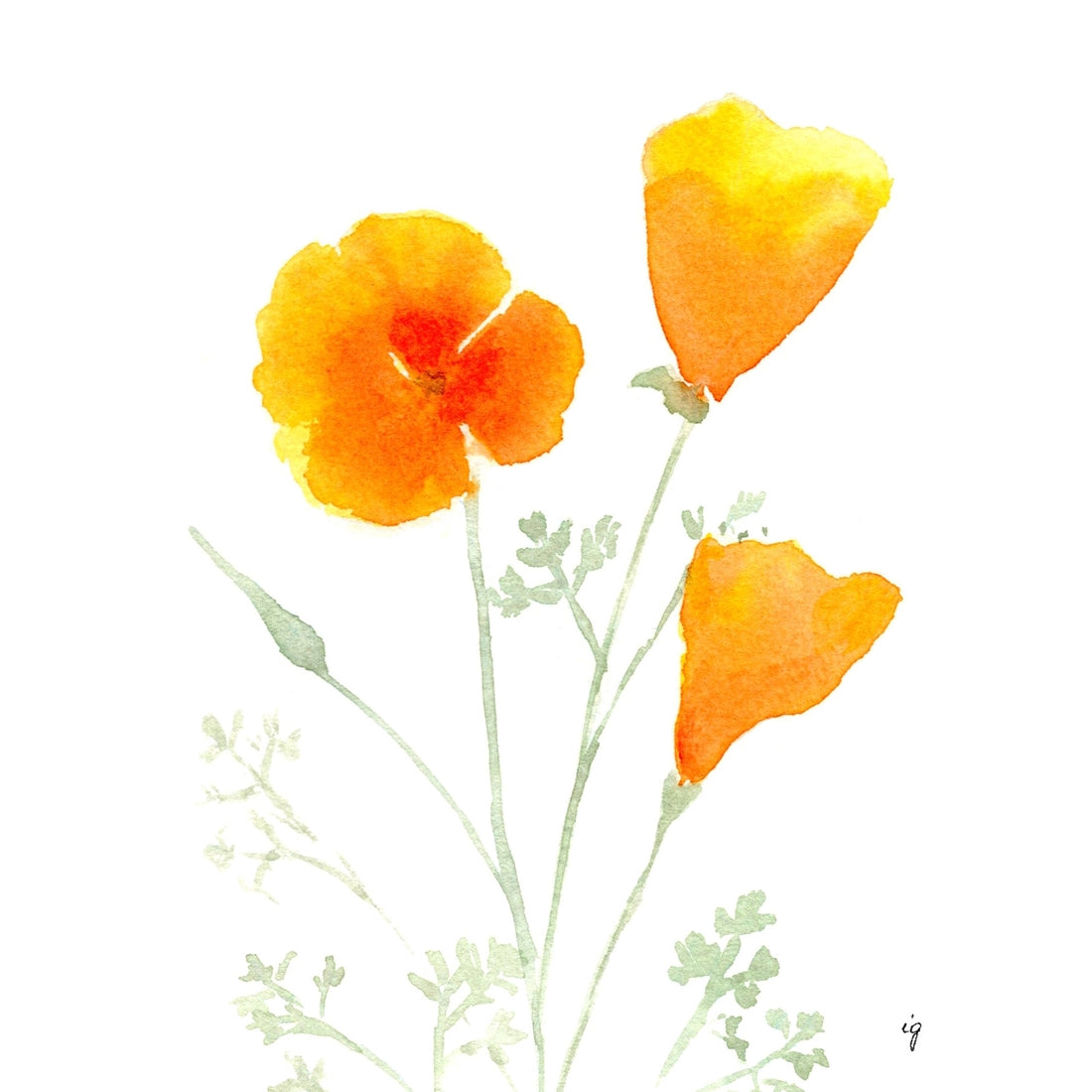 California Poppies Greeting Card