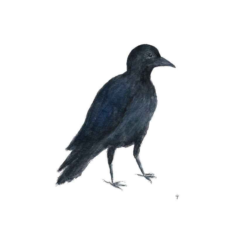 Crow Greeting Card