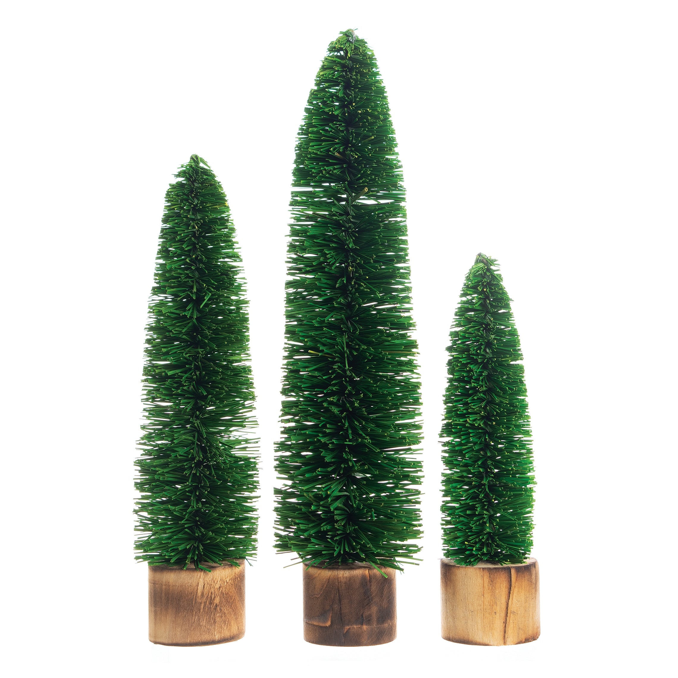 Dark Green Bristle Tree | 11.5 inches