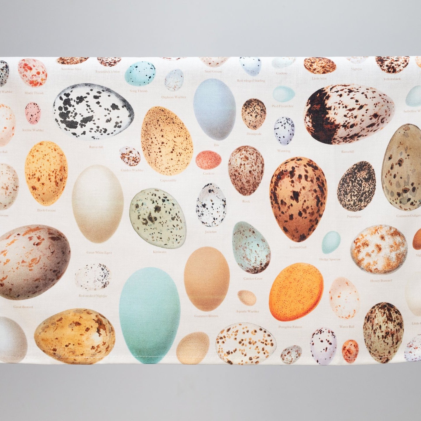 Eggs: Oology Printed Tea Towel