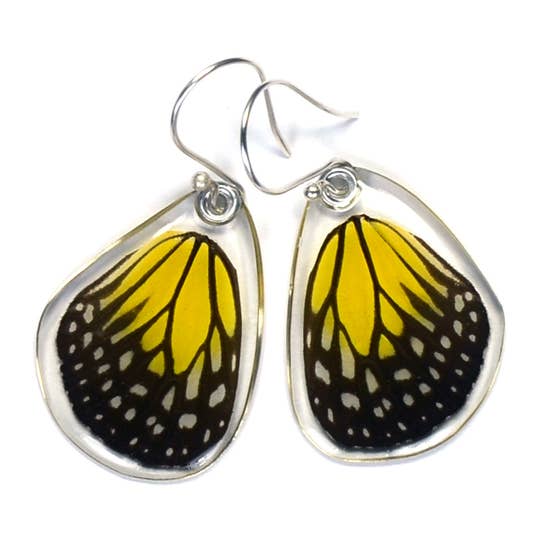 Danaus Aspasia Yellow Glassy Tiger Butterfly Earrings