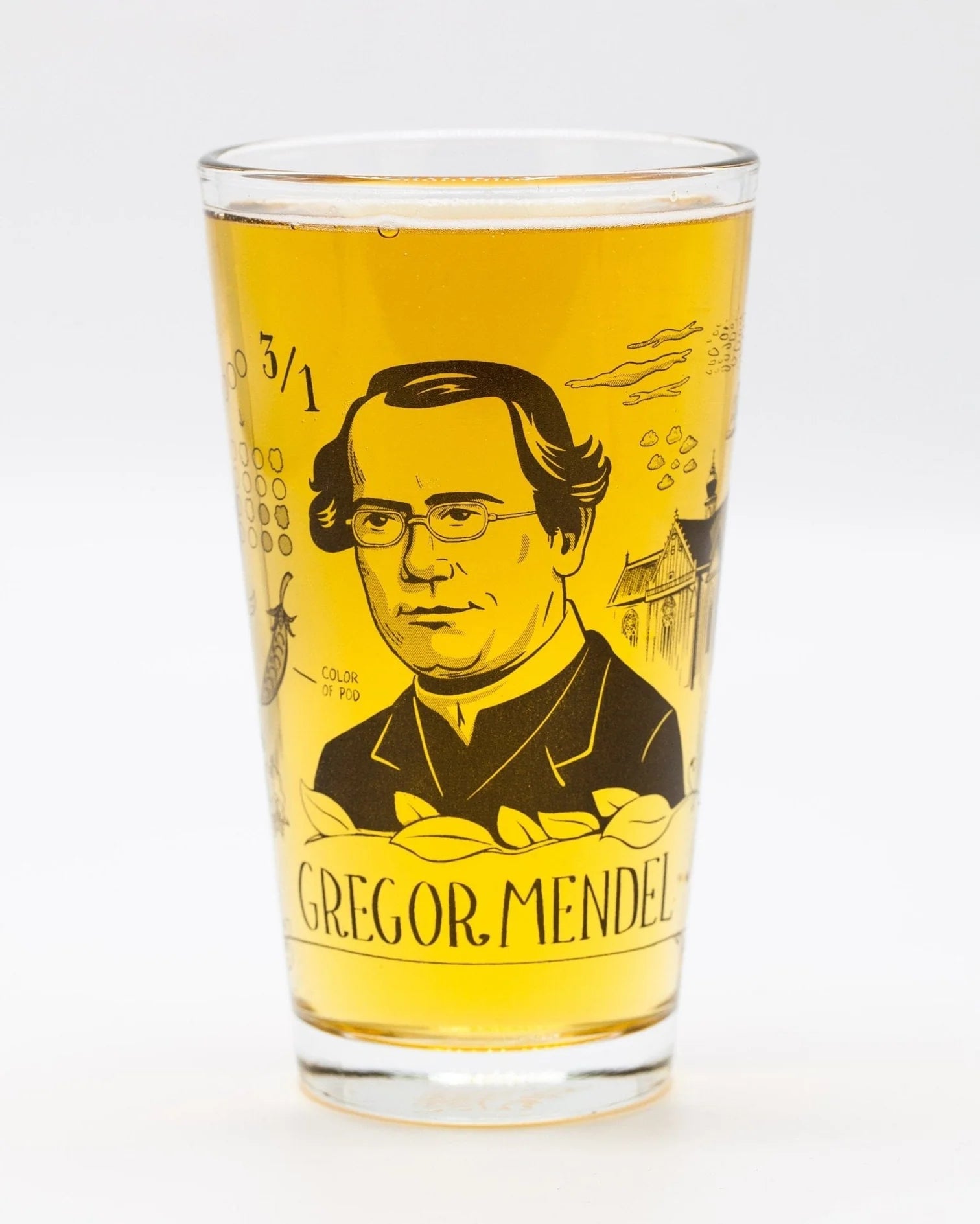 Gregory Mendel Pint Glass