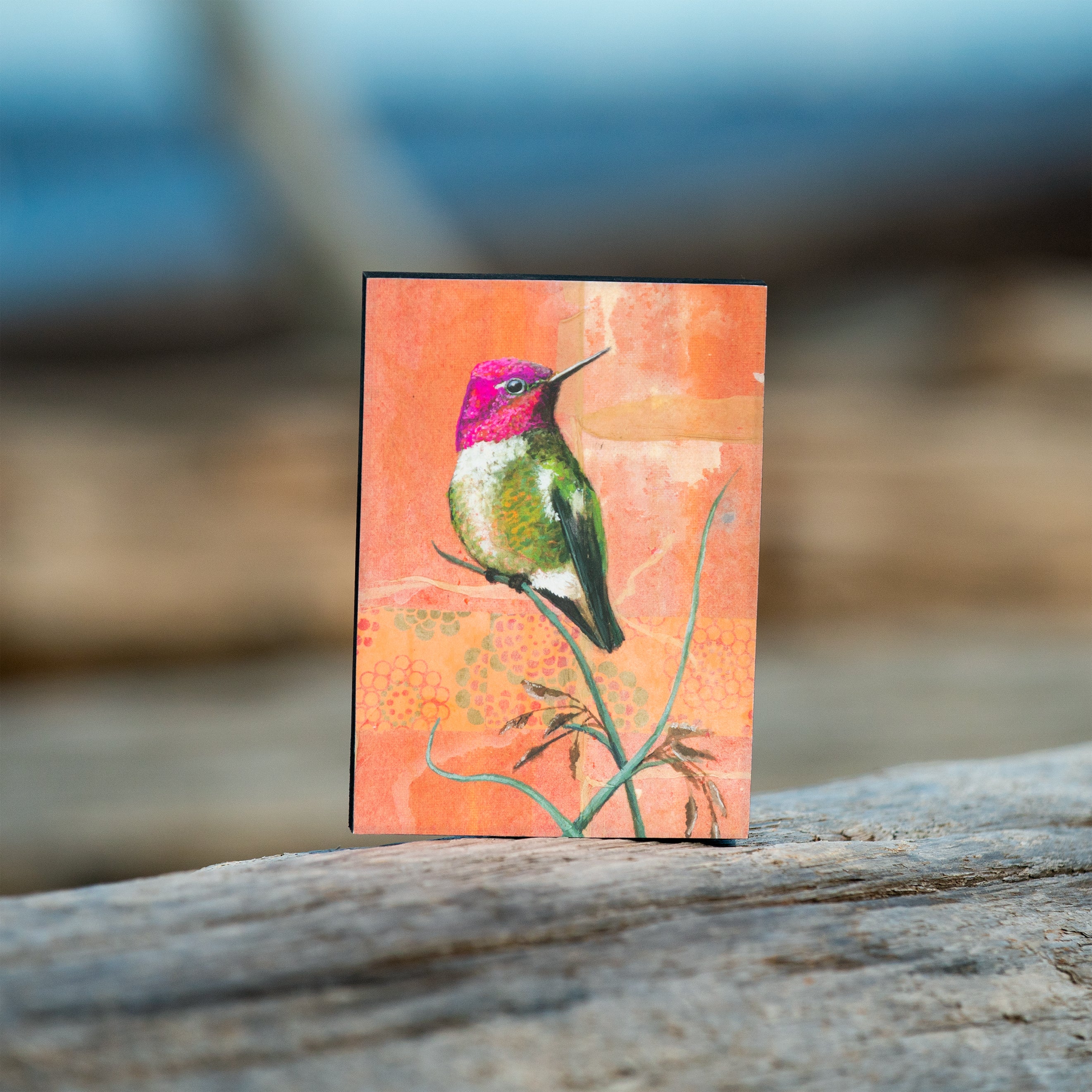 Anna's Hummingbird Wood Panel Giclée Print