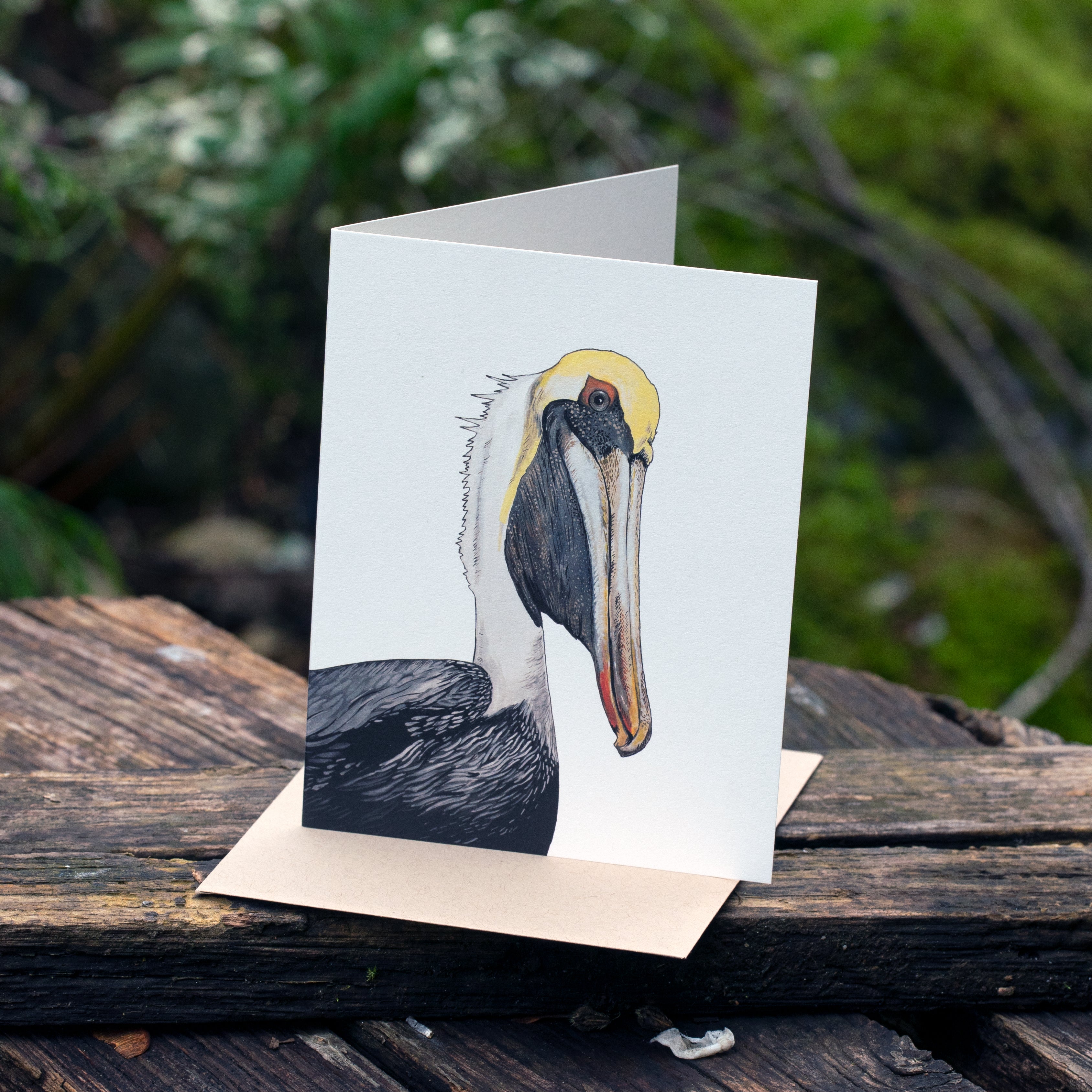 Pelican Card