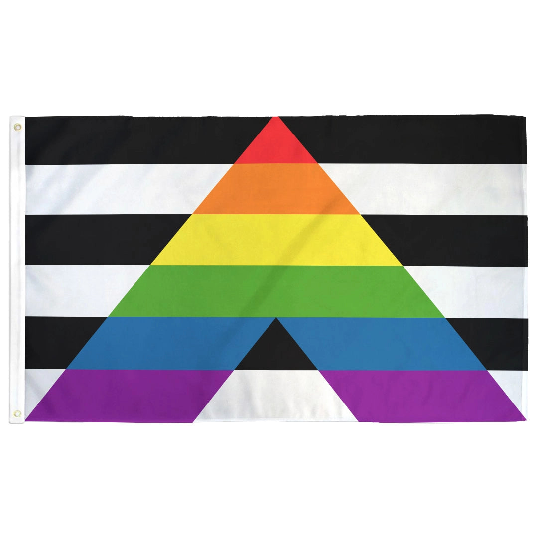 LGBTQ Ally Flag