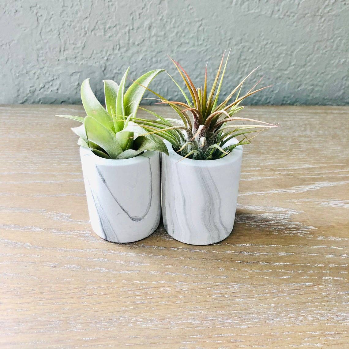 Mini Ceramic Air Plant Holders [Marble]