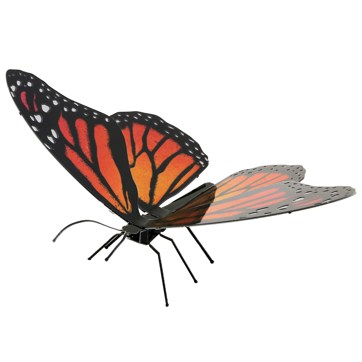 Monarch Butterfly Model