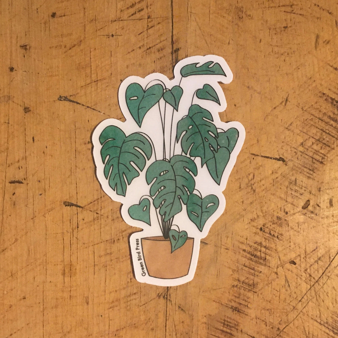 Monstera Houseplant Clear Sticker