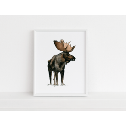 Moose Art Print