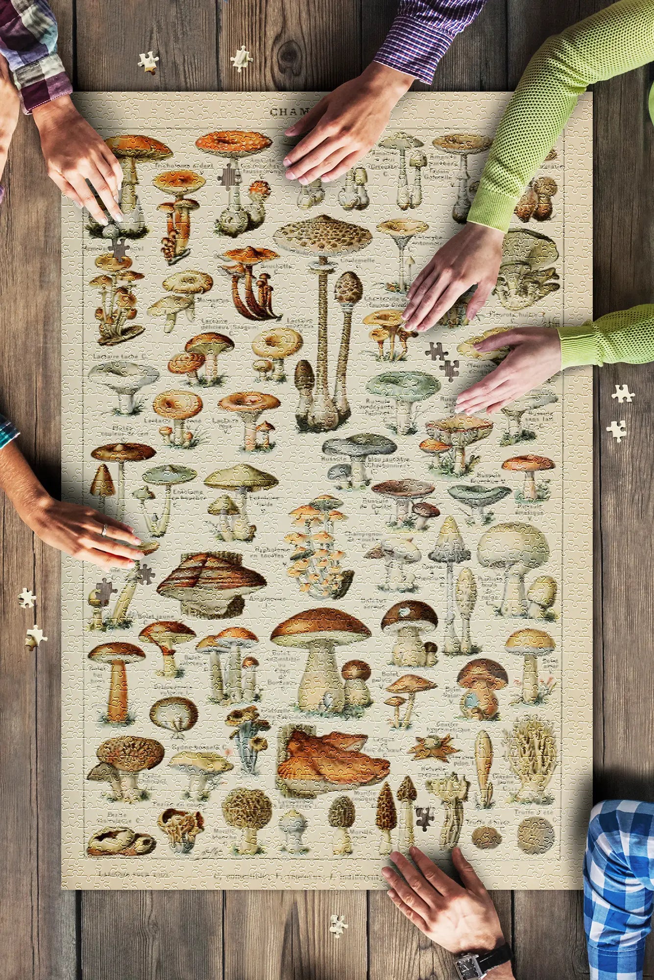 Adolphe Millot Mushroom Puzzle