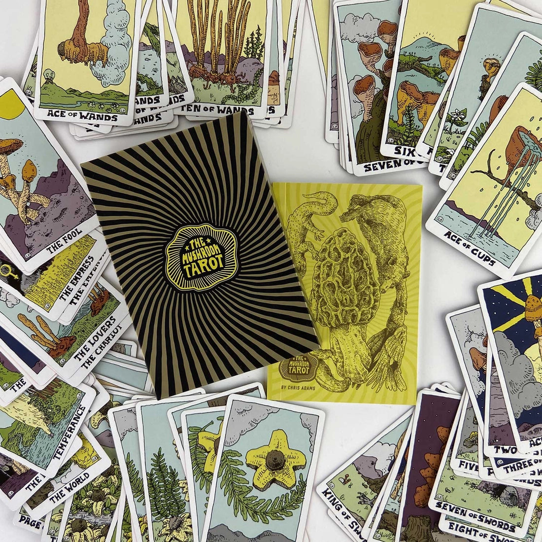 Mushroom Tarot Cards