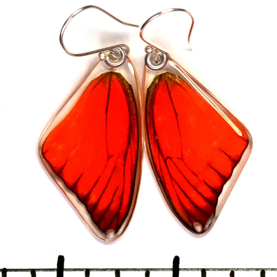 Appias Nero Orange Albatross Butterfly Earrings