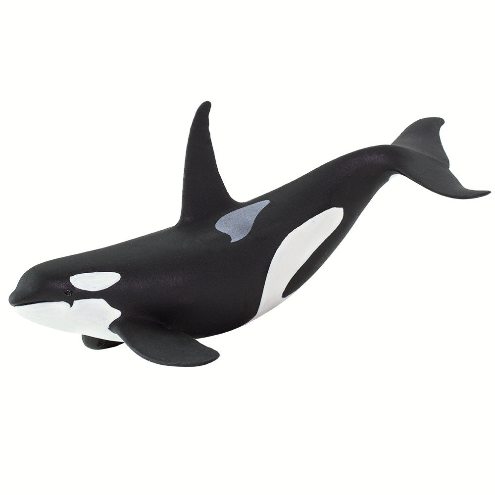 Small Orca